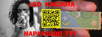 стафф Камышлов