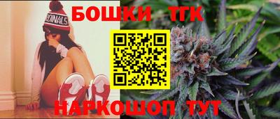 стафф Камышлов