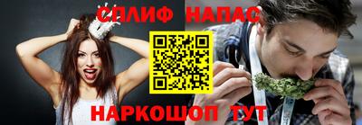 стафф Камышлов