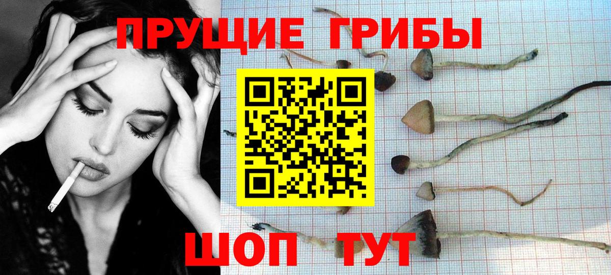 Галлюциногенные грибы Magic Shrooms  Вход с VPN  Тосно 
