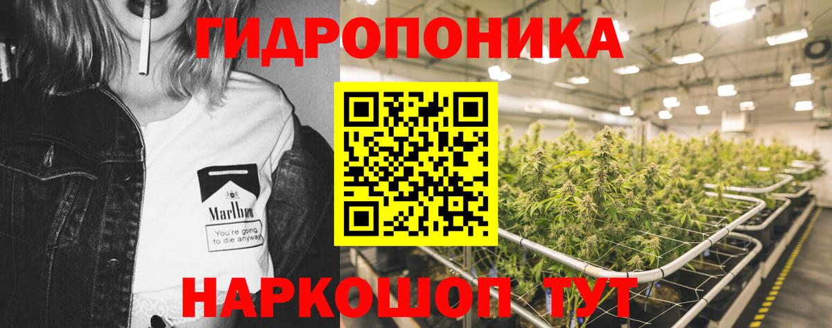 МАРИХУАНА Bruce Banner  Канабис индика  Вход с VPN  Шишки марихуана Amnesia  Тосно  Бошки Шишки гибрид 